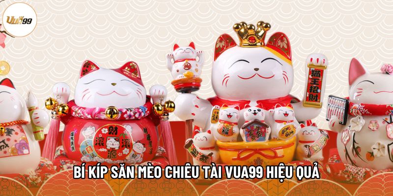 Bí kíp săn Mèo chiêu tài Vua99 hiệu quả