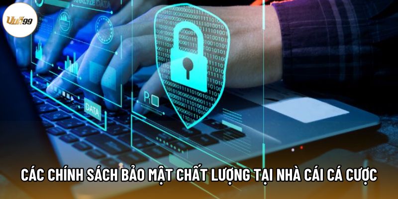 Các chính sách bảo mật chất lượng tại nhà cái cá cược