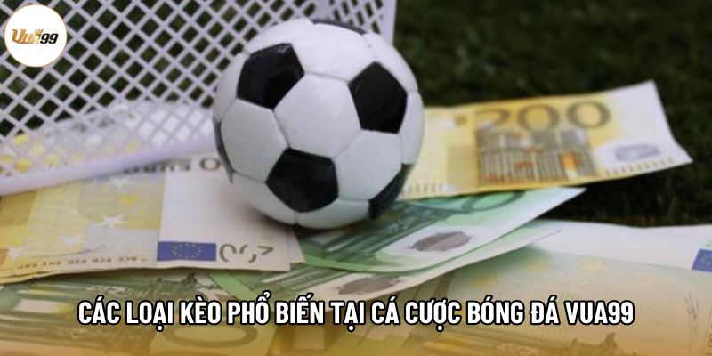 Các loại kèo phổ biến tại cá cược bóng đá Vua99