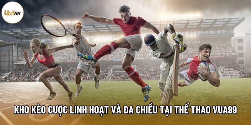 Kho kèo cược linh hoạt và đa chiều tại thể thao Vua99