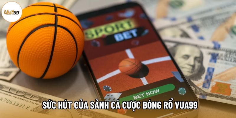 Sức hút của sảnh cá cược bóng rổ Vua99