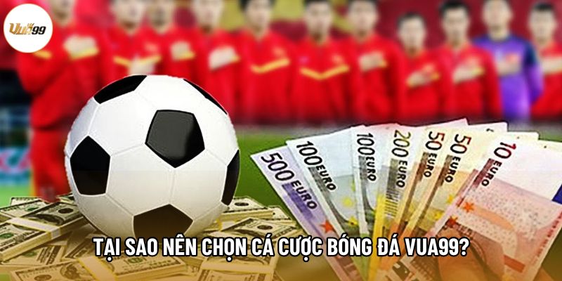 Tại sao nên chọn cá cược bóng đá Vua99?